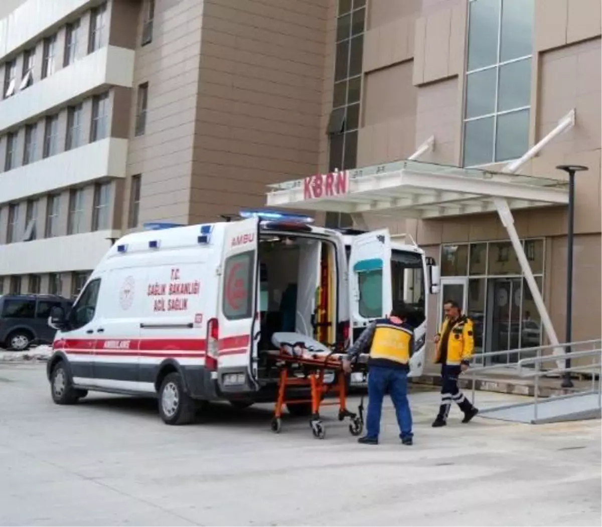 Ayı Saldırısı Vatandaşı Hastanelik Etti