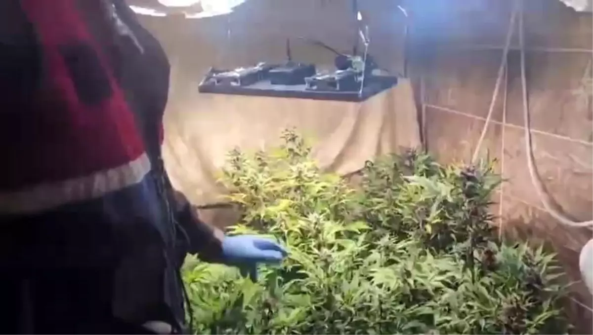 Geyve’de Uyuşturucu Operasyonu: 1 Tutuklu