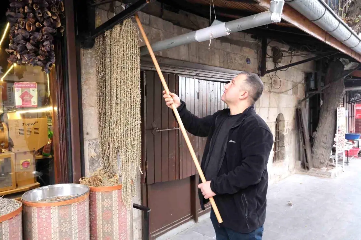 Kuru Bamya Fiyatı 2 Bin TL’ye Yükseldi