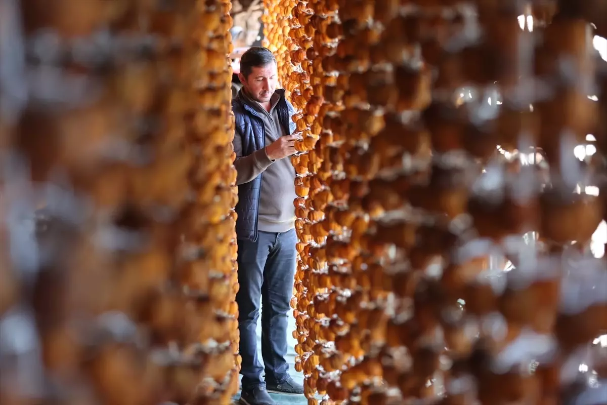 Bahçeli’de Cennet Hurması İle Yenilik: Köyde Yüzlerce Ton Üretim ve Uluslararası Pazar