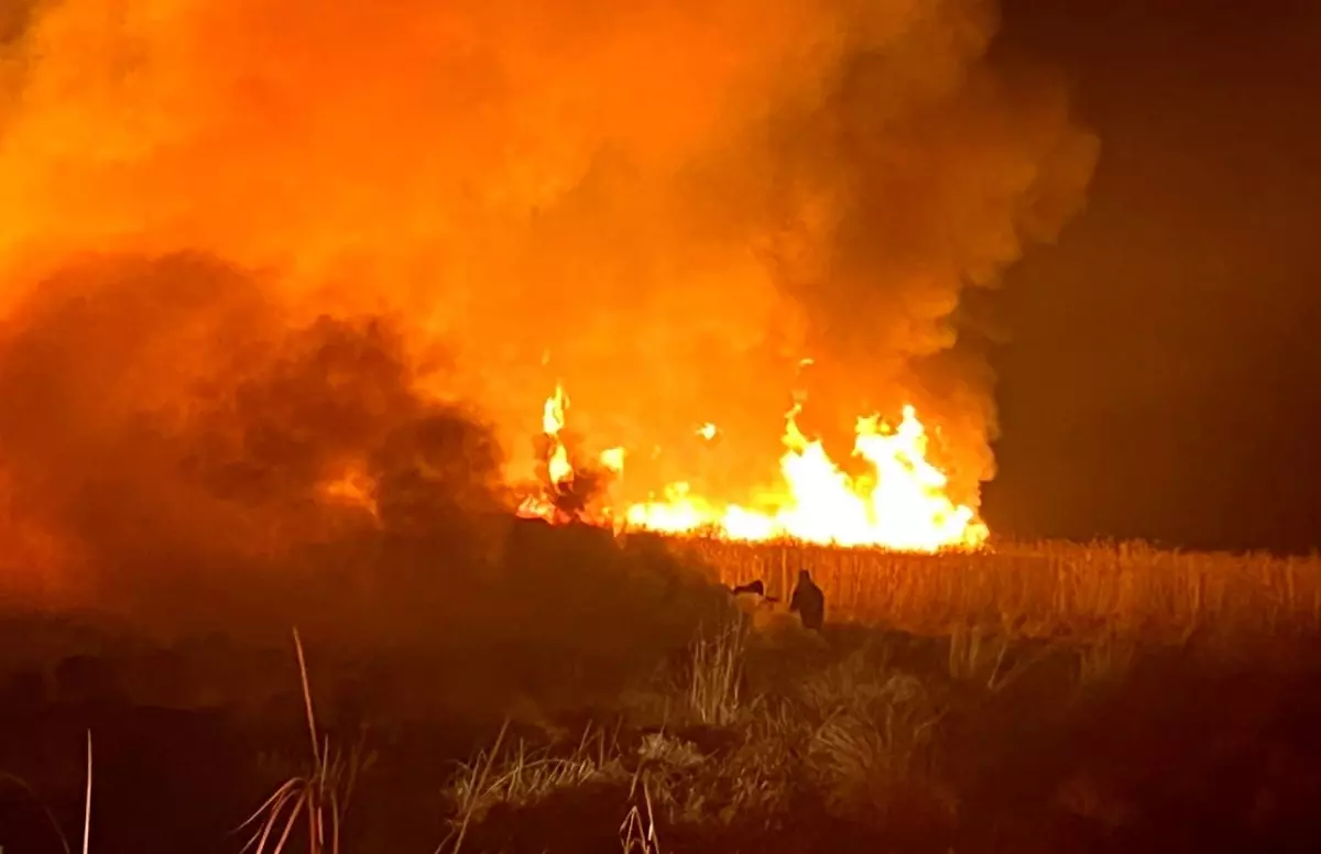 Nehil Sazlığı’nda Şiddetli Yangın: Kuş Cennetinde Kıvılcımlar