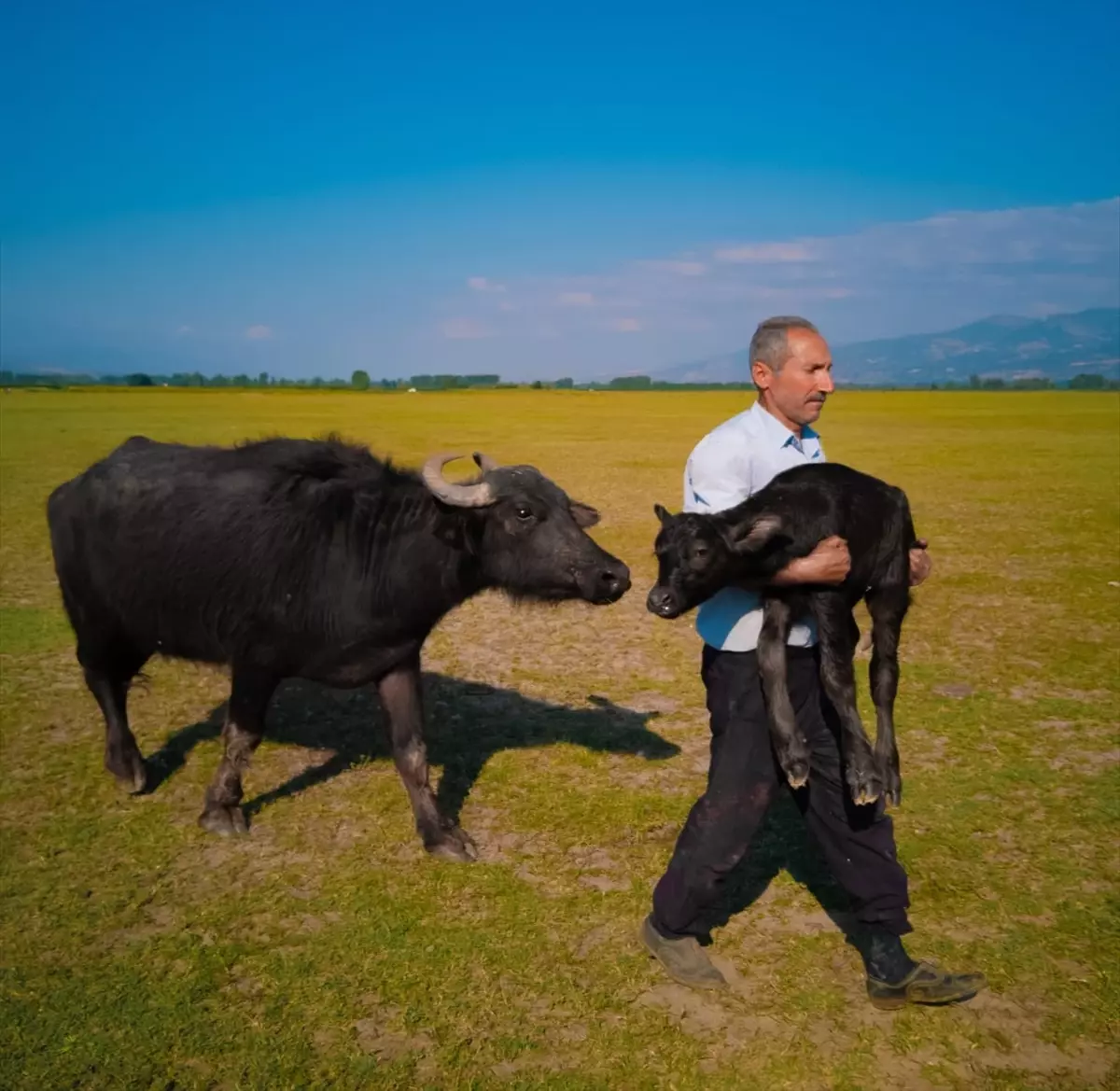 Mehmet Emin Coruş Dünya İkincisi Oldu – Huawei XMAGE 2025’te Türk Fotoğrafçının Büyük Başarısı