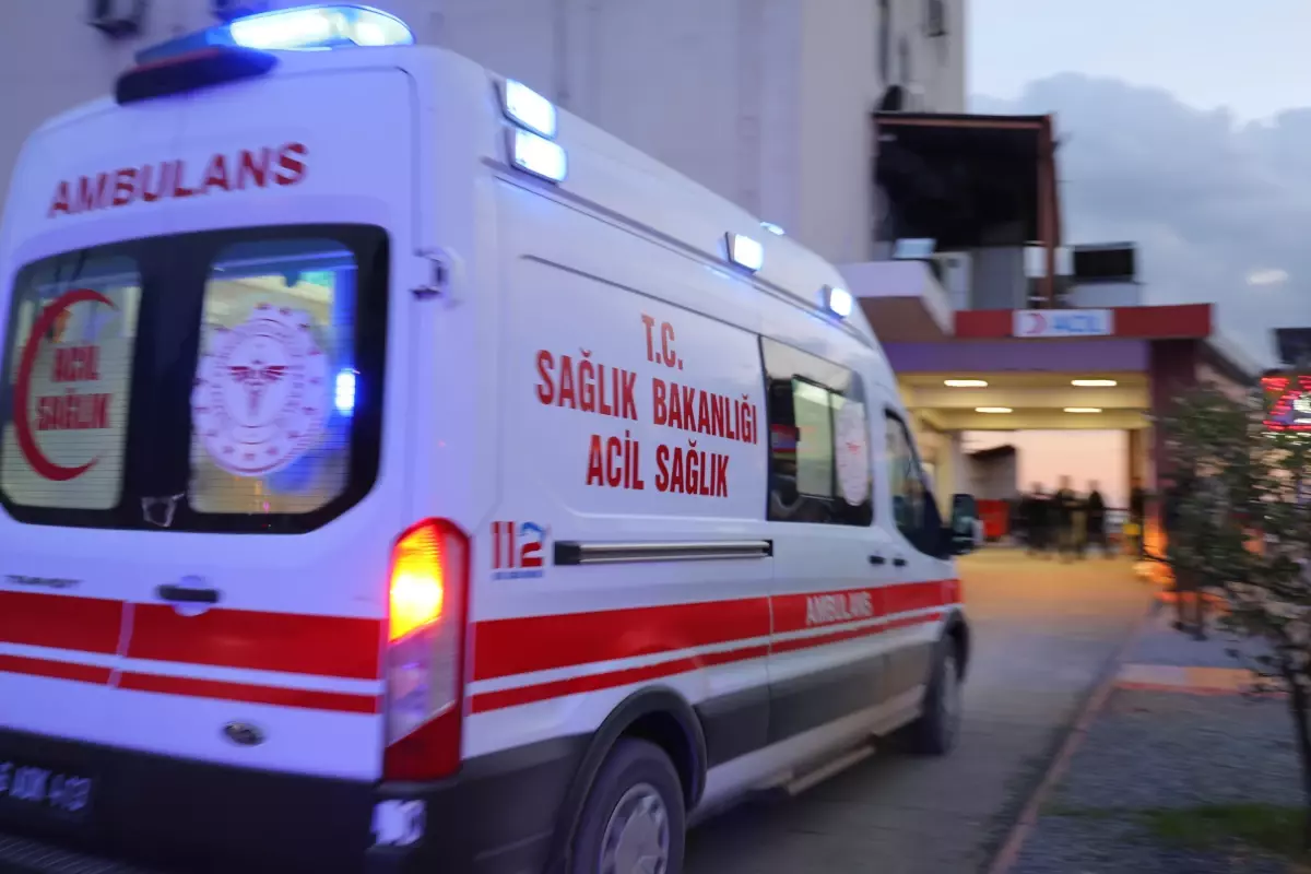 Kedileriyle Yangında Hayatını Kaybetti