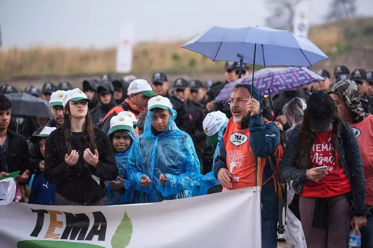 İzmir ve Çevre İllerde Binlerce Fidan Toprakla Buluştu
