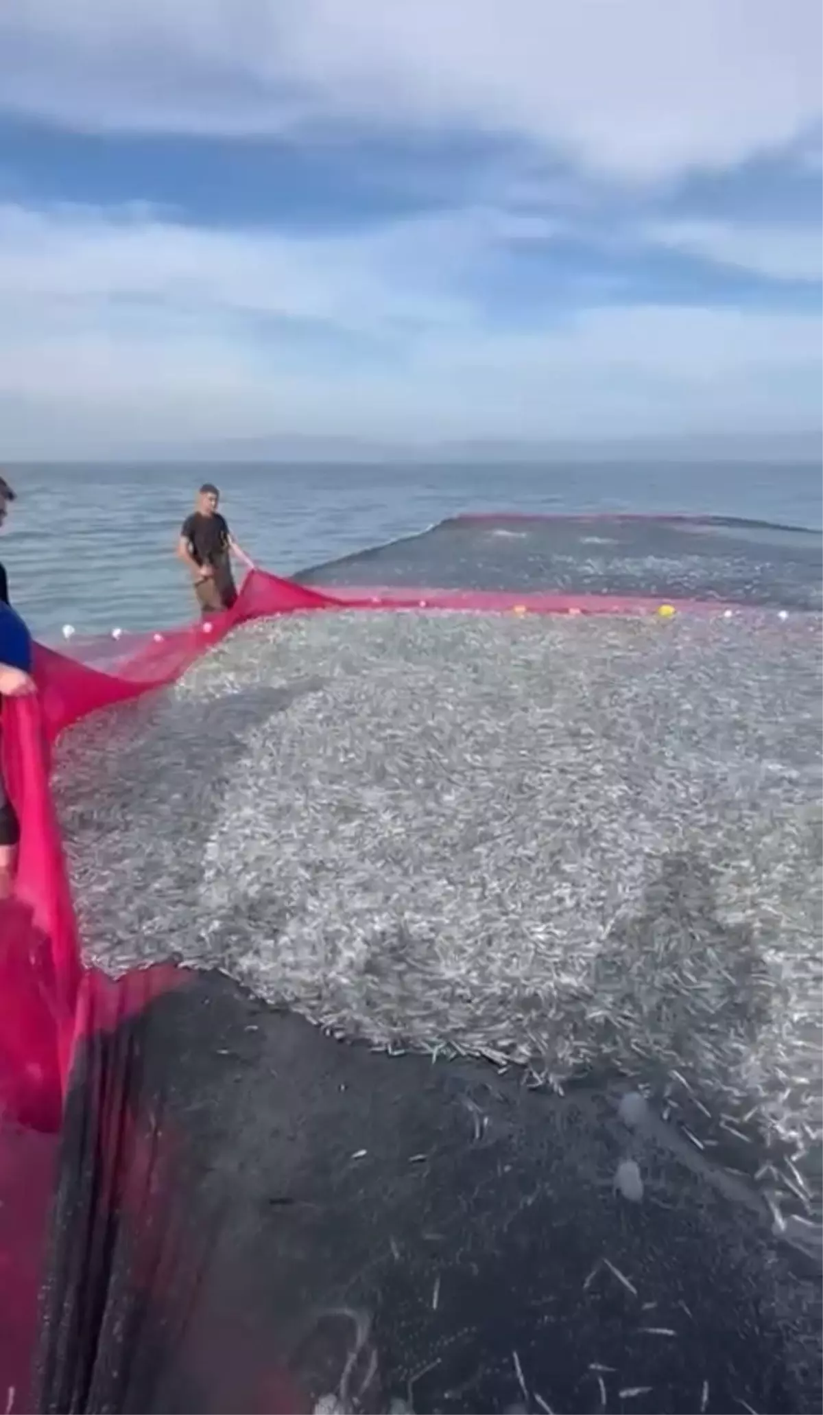 İznik Gölü’nde Rekor Balık Avı: 21 Ton Gümüş Balık Tek Seferde Yakalandı