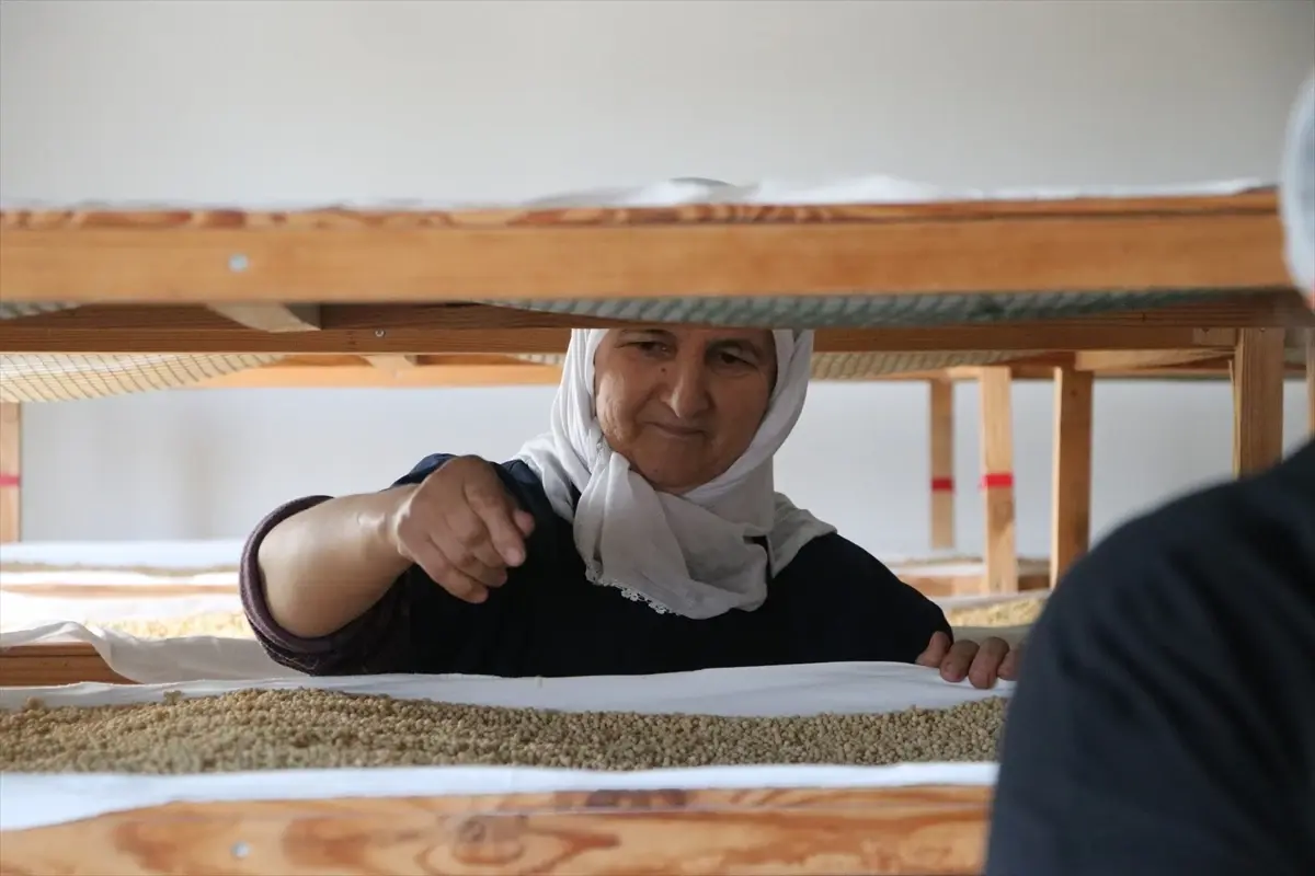 Hülya Çıtak’ın Başarılı Kadın Girişimi