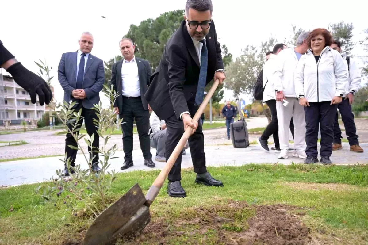 Kaz Dağları’nda Zeytin Fidanı Dikimi ve Kar Spor İDA Ultra Yarışı Hazırlıkları