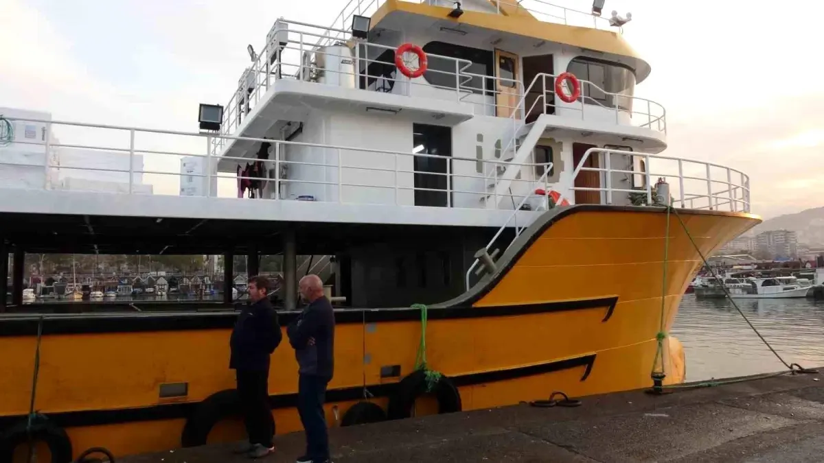 Karadeniz’de Hamsi Bolluğu: 3 Aydır Aralıksız Av Şartları