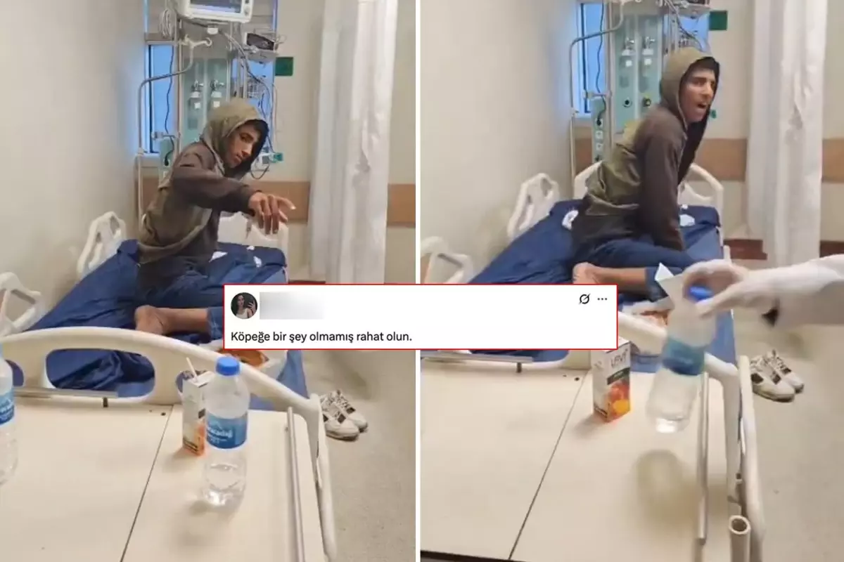 Kuduzdan hayatını kaybeden genç için yapılan yoruma büyük tepki yağdı