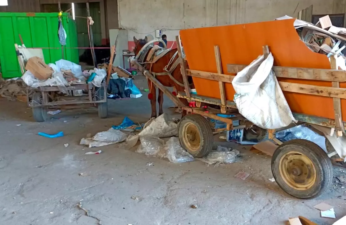 Manisa’da At Arabalı Hırsızlıklara Karşı Dev Operasyon!