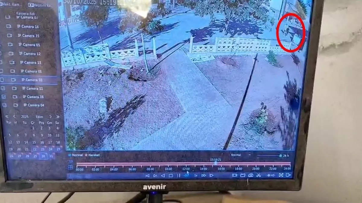 “Kamusal Alanlara Zarar Verenler Sorumluluklarını Unutmamalı”