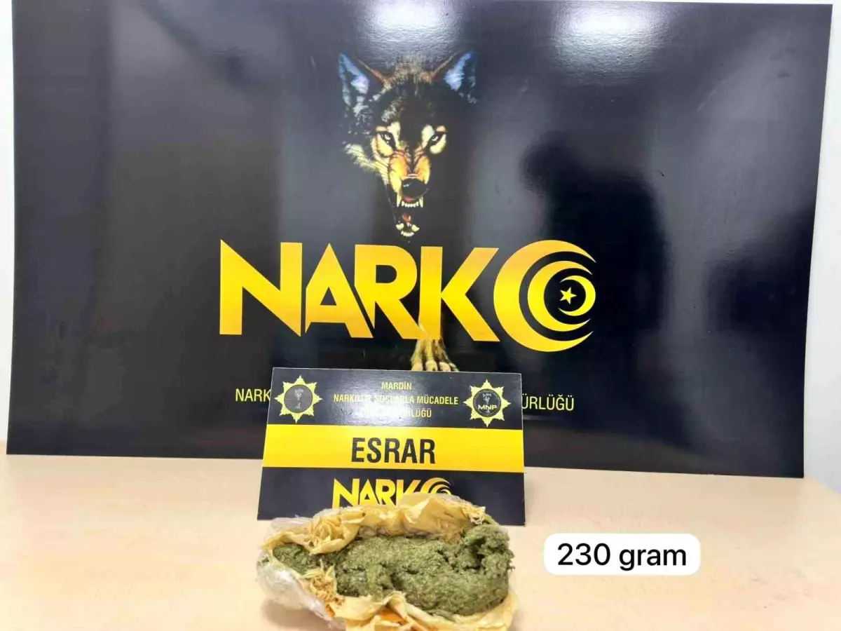 Mardin’de Uyuşturucu Operasyonu: 2 Gözaltı