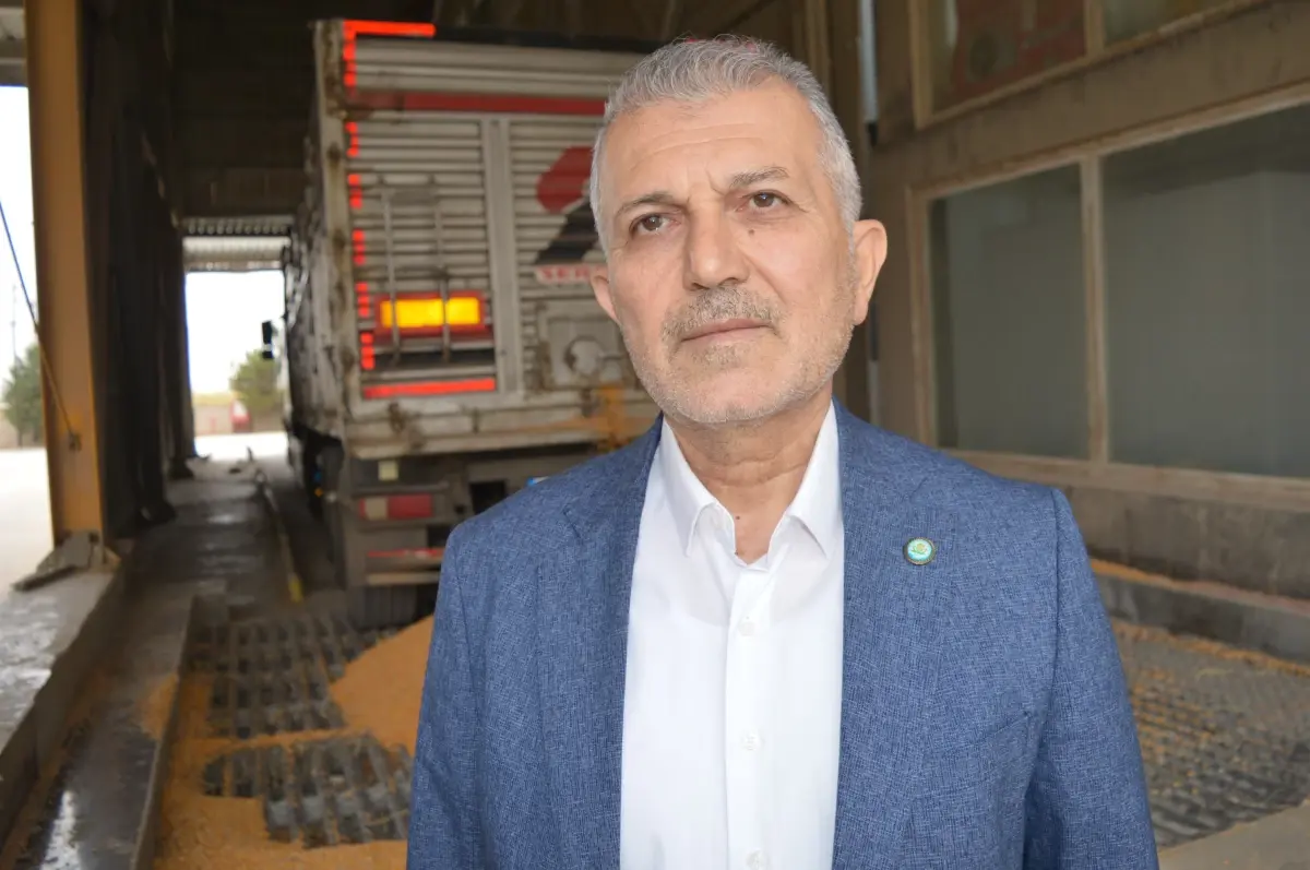 Mardin Ovası’nda Mısır Hasadı Başladı: 2 Milyon Tonluk Bereket