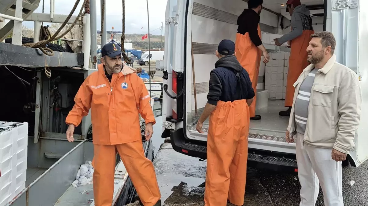 Tekirdağlı Balıkçılar 600 Kasa Balıkla Dönüyor