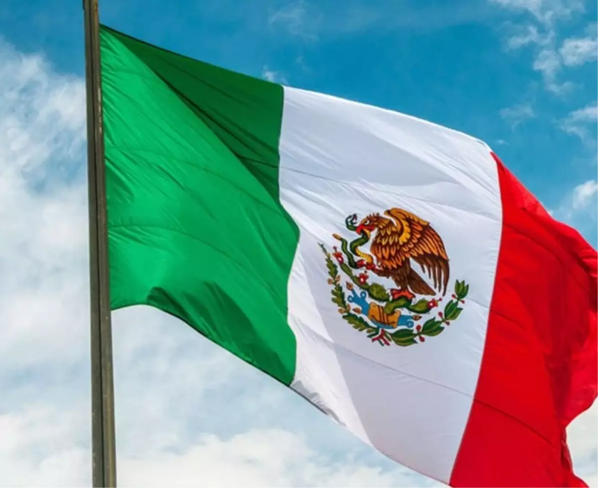 Meksika’da Gizli Mezarlık Şoku: Leona Vicario’da 16 Ceset Bulundu