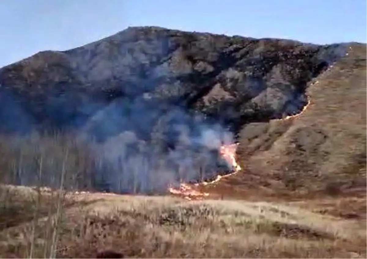 Erzurum Oltu’da Örtü Yangını Hızlı Müdahale ile Kontrol Altına Alındı