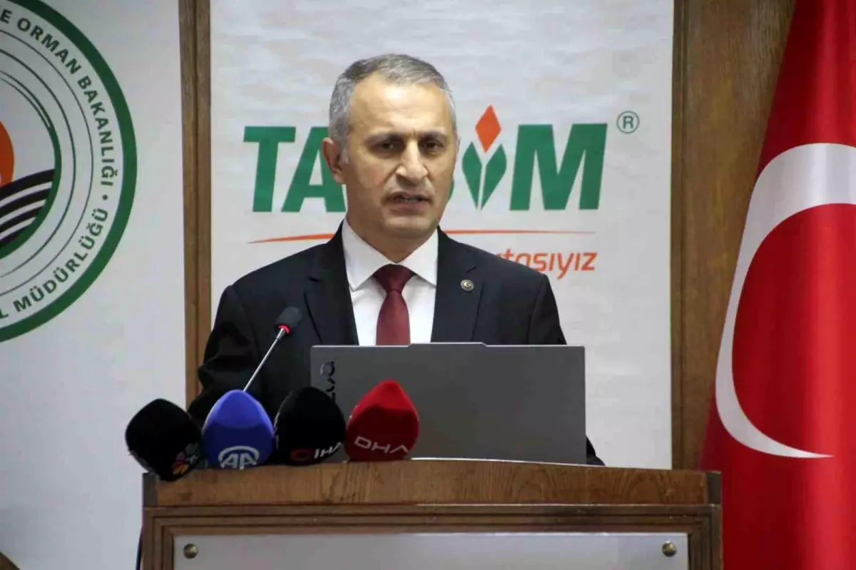 Ordu’da ‘Sağlıklı Arı, Sağlıklı Yaşam’ Eğitim Programıyla Arıcıların Kapasitesi Artırıldı