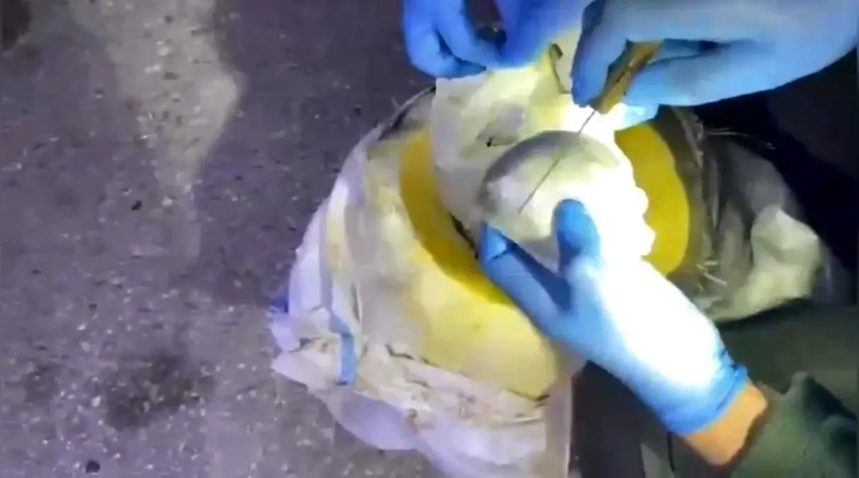 Osmaniye’de Şok Uyuşturucu Operasyonu: Bal Kabağından 706 Gram Skunk Ele Geçirildi