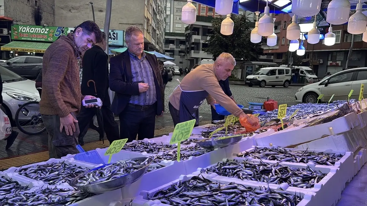 Rize’de Hamsi Fiyatları 50 Liraya Düşüş Gösterdi, Balıkçılar Memnun