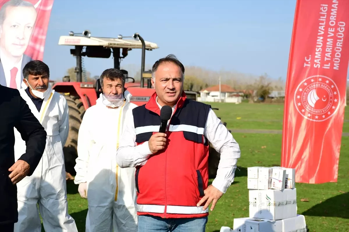 Kahverengi Kokarca ile Mücadele Devam Ediyor