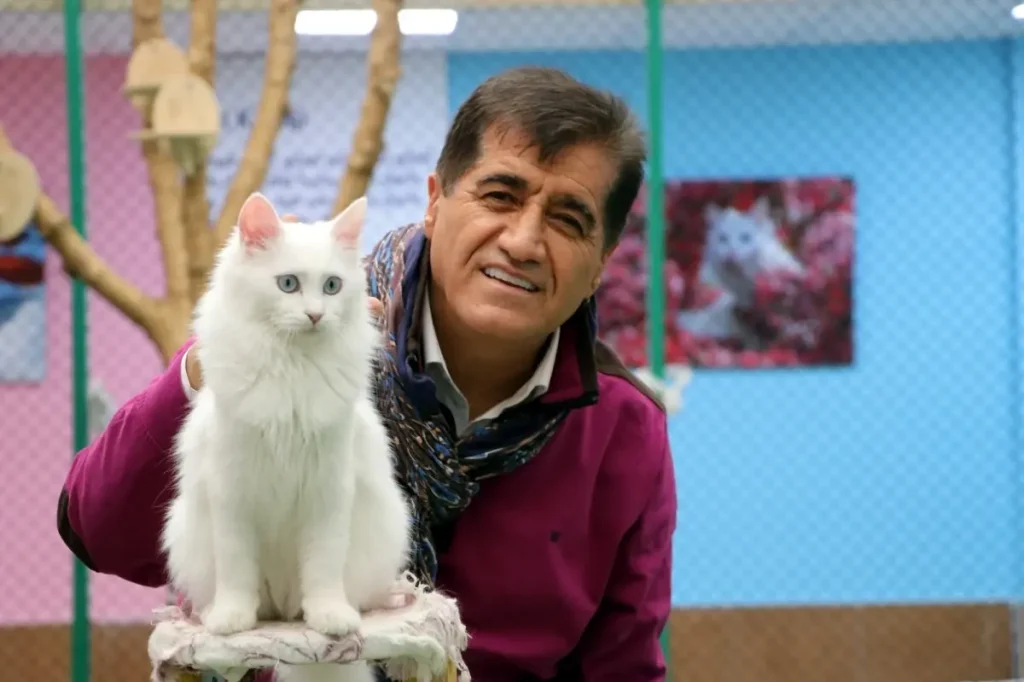 Sanat ve Doğa: Van Kedisiyle Çığır Açan Düet