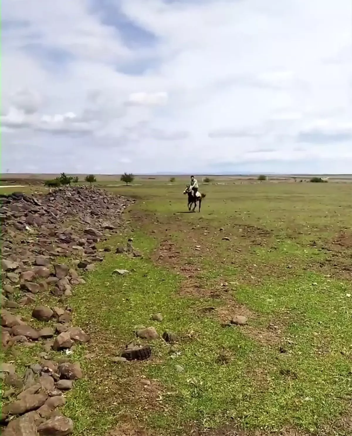 Şanlıurfa’da İki İlginç Olay Kamerada