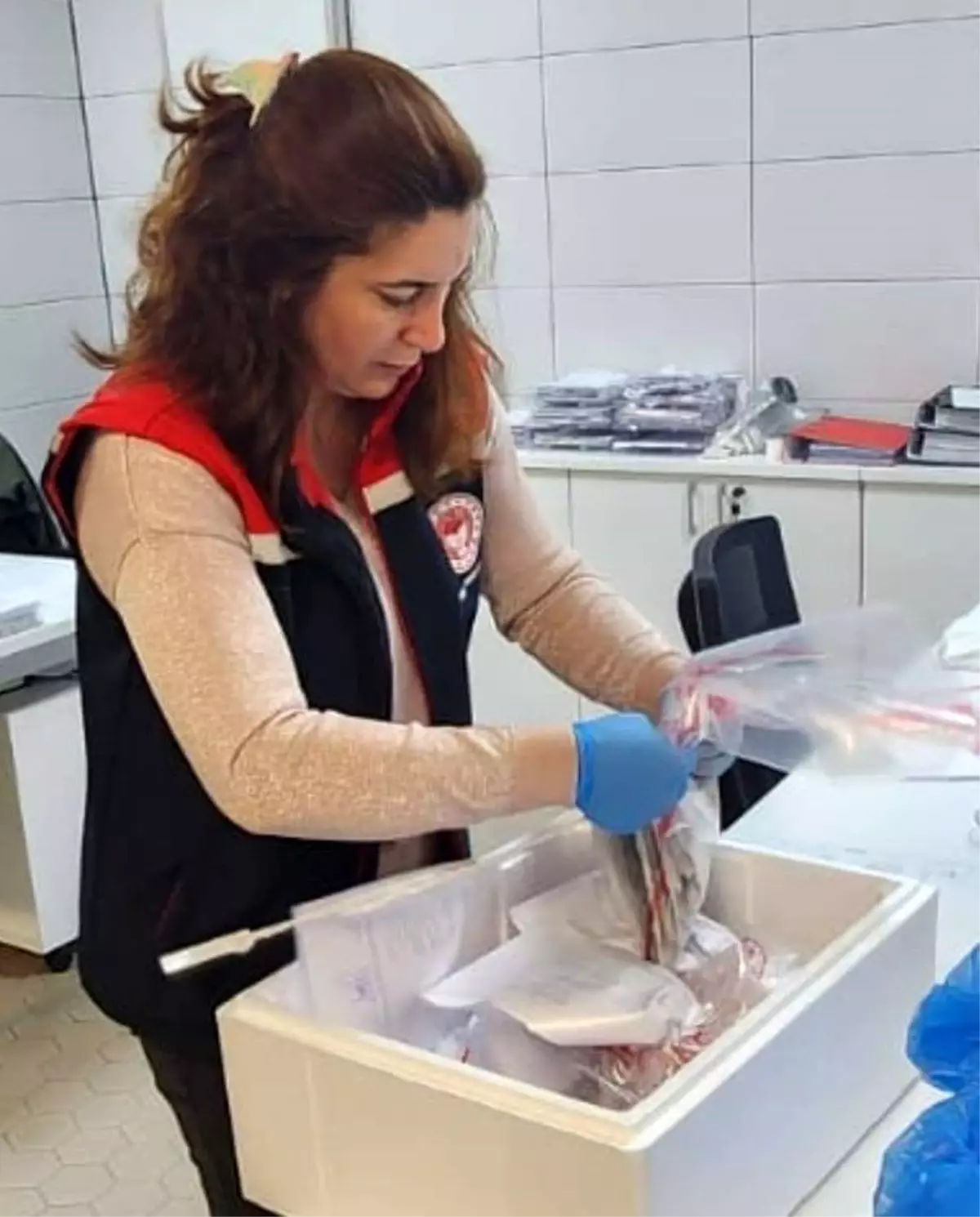 Söke’den İhraç Edilen Balıklara Sıkı Kalite Kontrolü: Sağlık ve Güvenlik Ön Planda