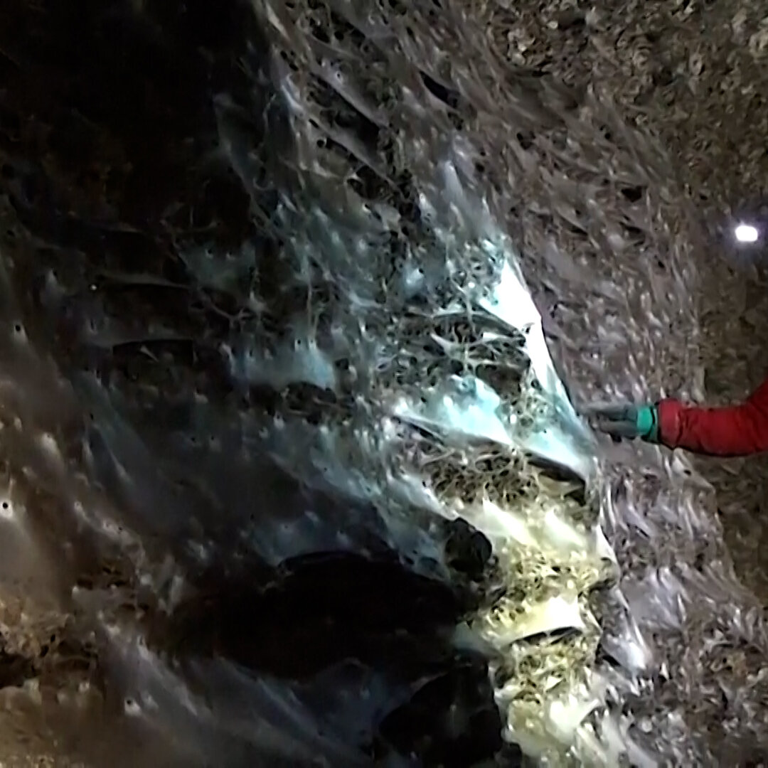Giant, Odorous, Spongy Web Found in Balkan Cave Shows Unprecedented Spider Cooperation