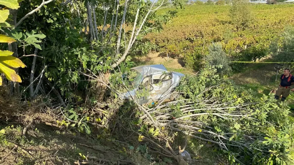 Tarlaya Yuvarlanan Otomobilin Sürüsü Hayatını Kaybetti