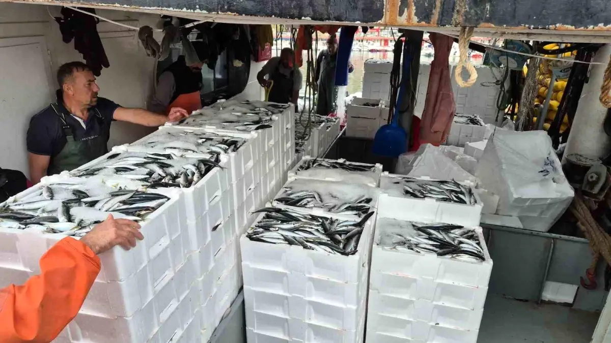 Lodos Sonrası Balıkçıların Bereketli Günü