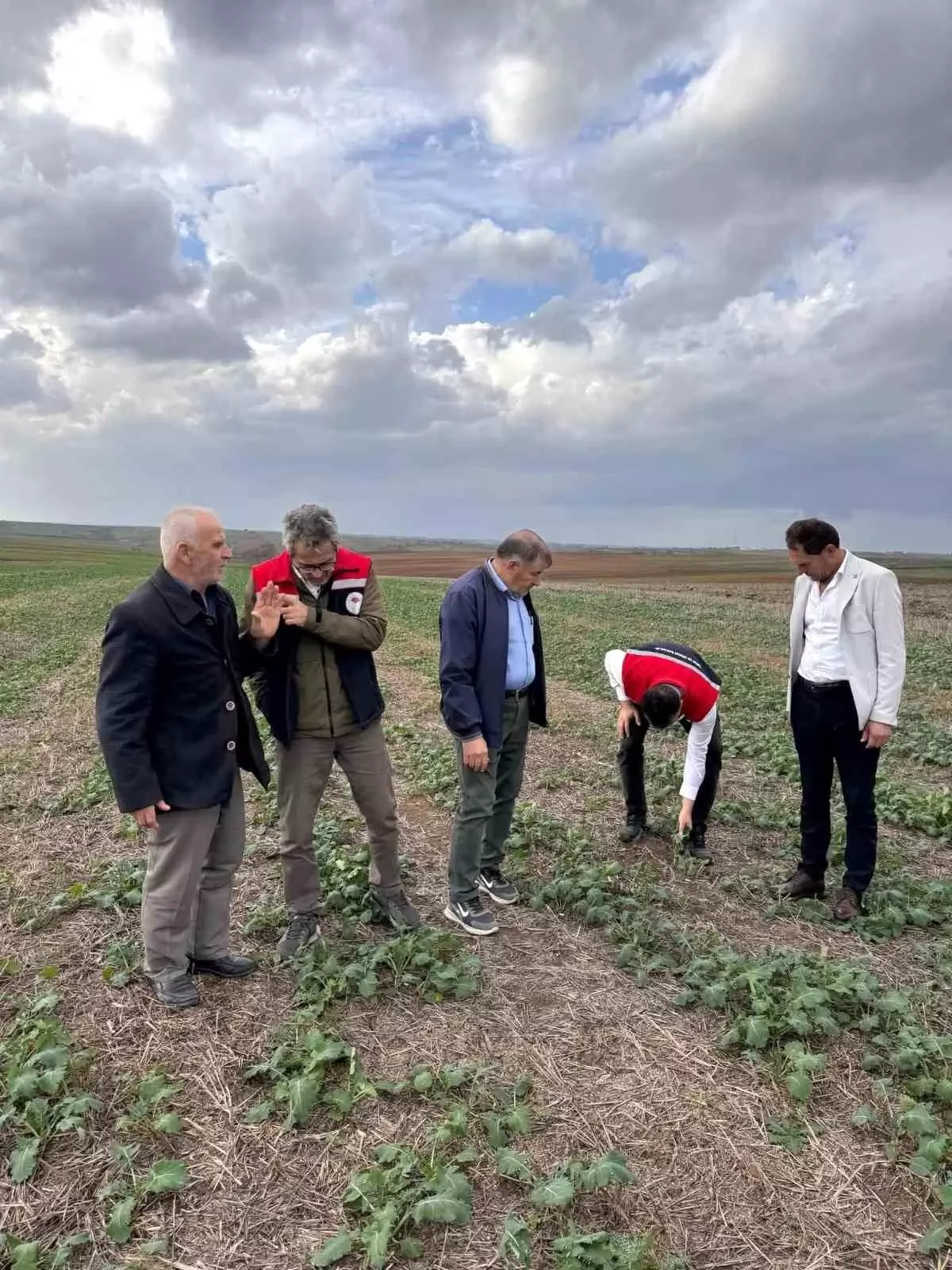 Tekirdağ’da Anıza Kanola Ekim Değerlendirmesi: Kuraklıkla Mücadelede Yeni Bir Adım