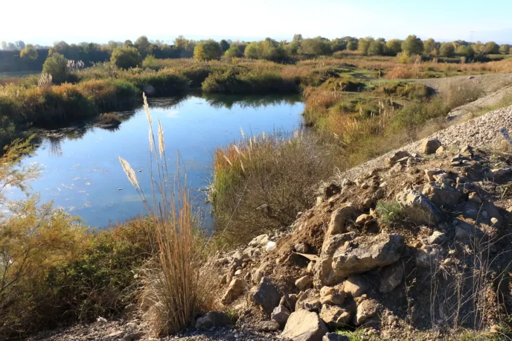 Tokat’ta Ehliyetsiz Sürücü Gölete Düşen Otomobilden Kurtuldu