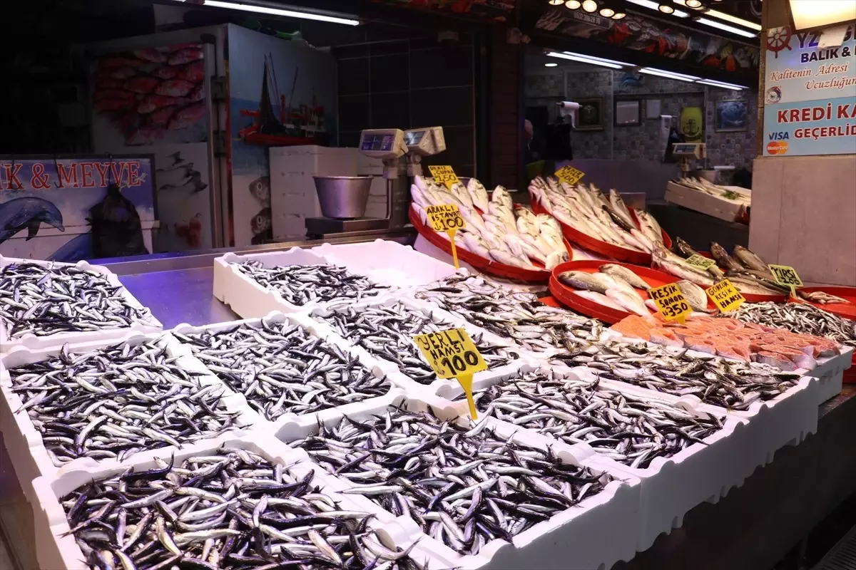 Trabzon’da Hamsi Fiyatı 100 Liraya Çıktı: Hava Koşulları Piyasa Şokunu Tetikledi