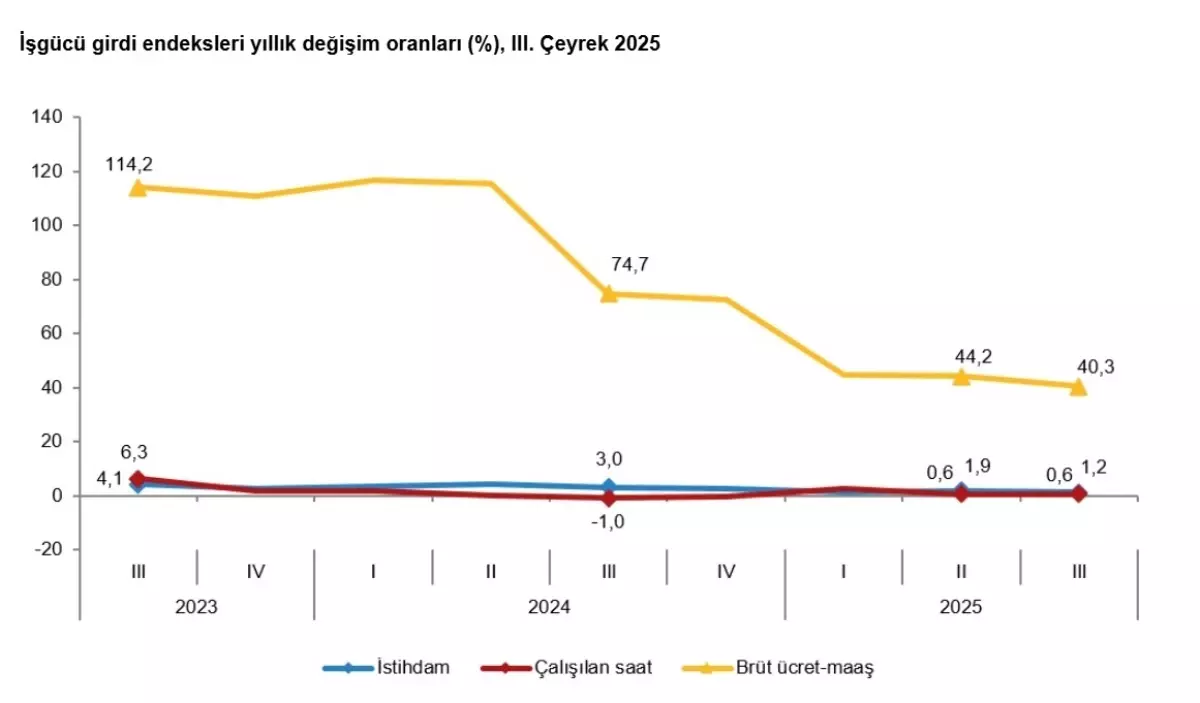 İstihdam ve Ücretlerde Rekor Artış: TÜİK 2025 3. Çeyrek Verileri Açıklandı