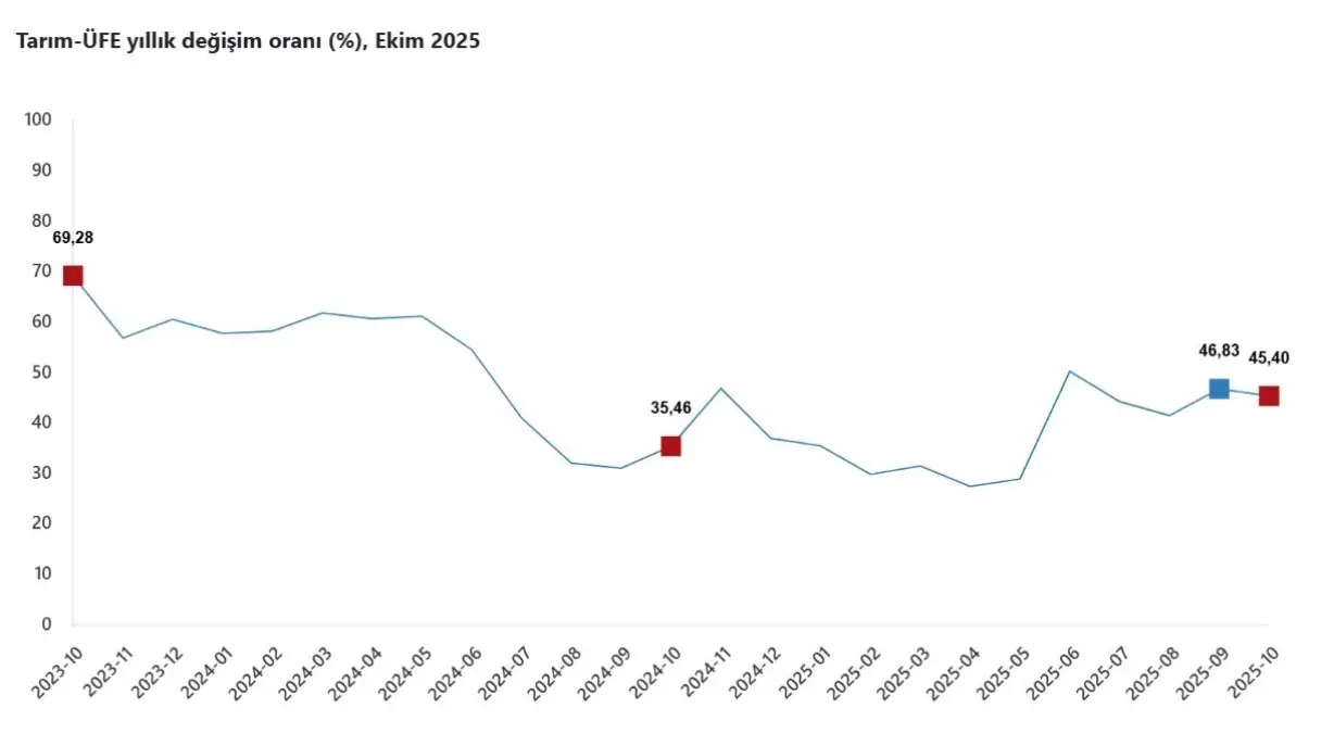 Tarım Ürünleri Fiyatları Ekim’de Rekor Artış Gösterdi