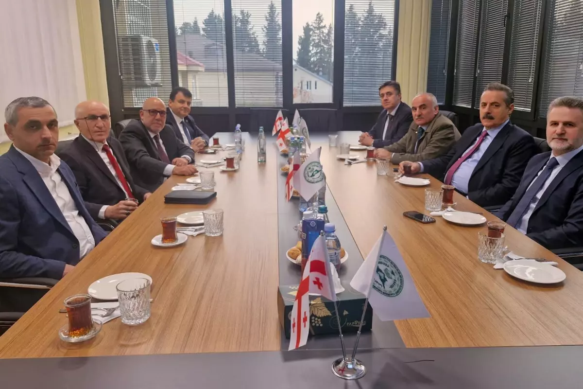 Türkiye–Gürcistan Dostluk Grubu Gürcistan’da Resmi Temaslarda Bulundu