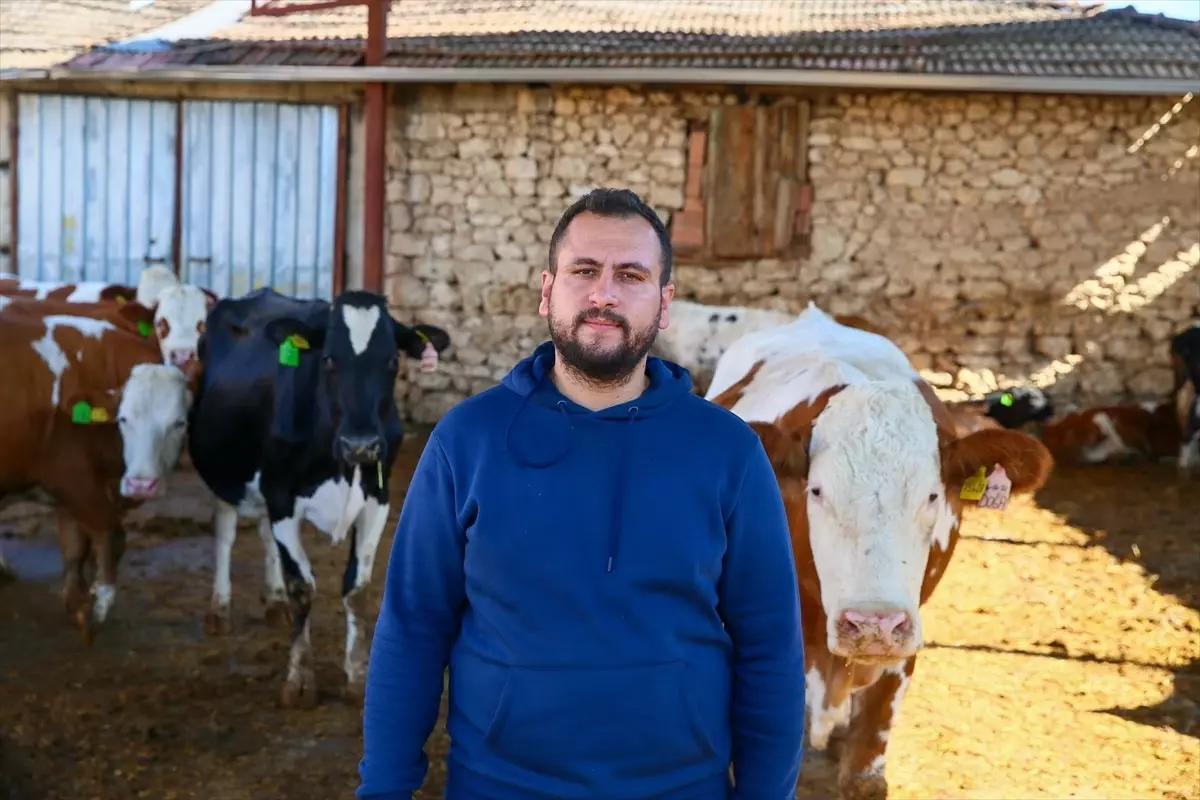 Ziraat Mühendisi Hayvancılıkla Başarıya Ulaştı