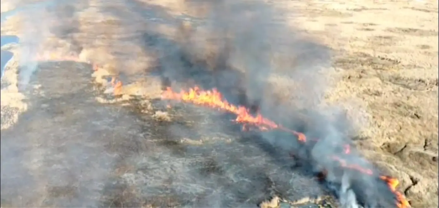 Van’da Çırak Sazlığı’nda Yangın