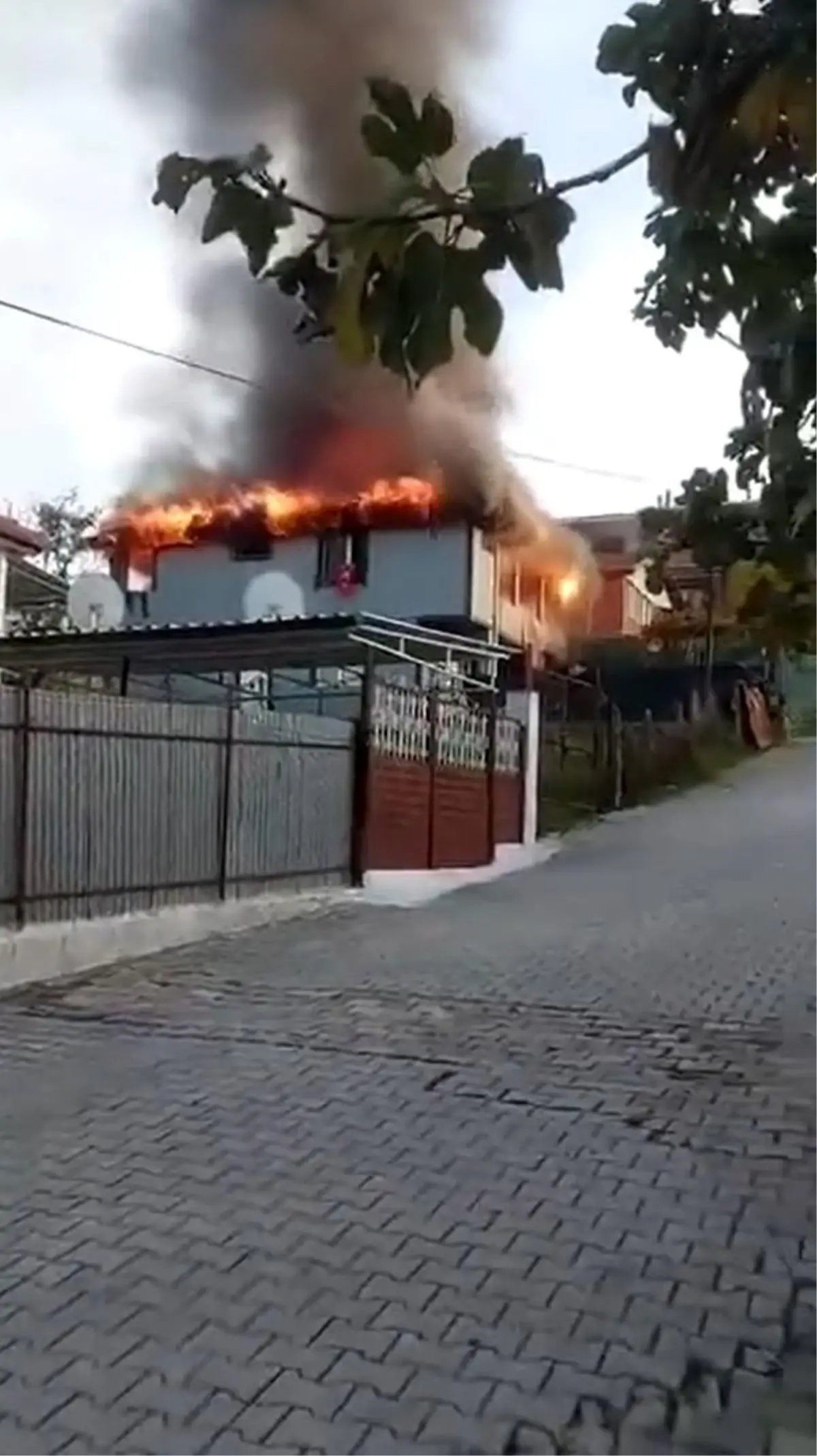 Yangın paniği Yalova’yı sarstı: İtfaiye ekipleri seferber oldu