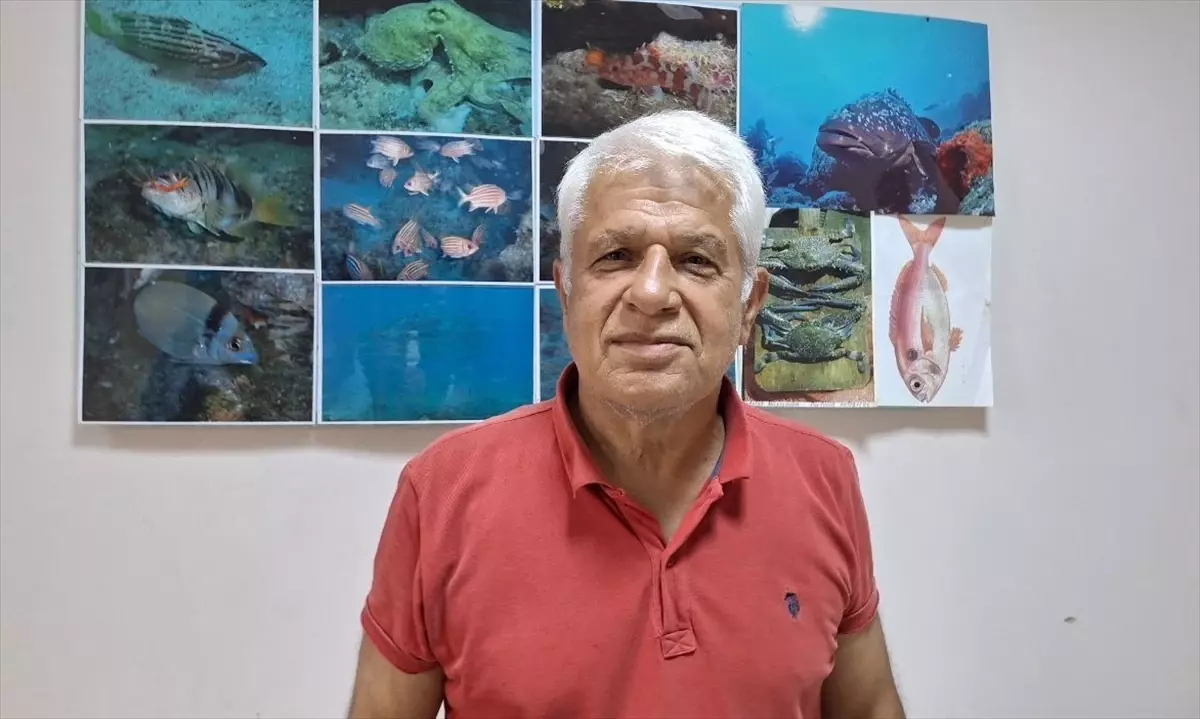 Kızıldeniz Türleri Akdeniz’de Yayılıyor: İklim Değişikliği ve Ekonomi Üzerindeki Etkileri