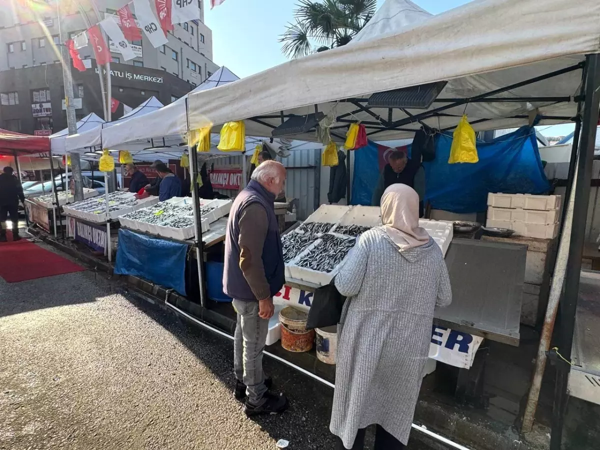 Hamsi Sezonu Sonlanıyor, Çeşit Artıyor – Zonguldak Balık Hali Gerçek Zamanlı Analiz