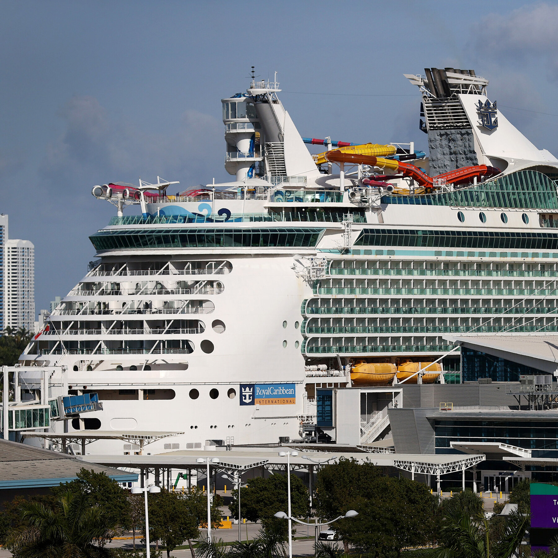 Cruise Passenger Served 33 Drinks Before Fatal Confrontation with Crew, Lawsuit Claims