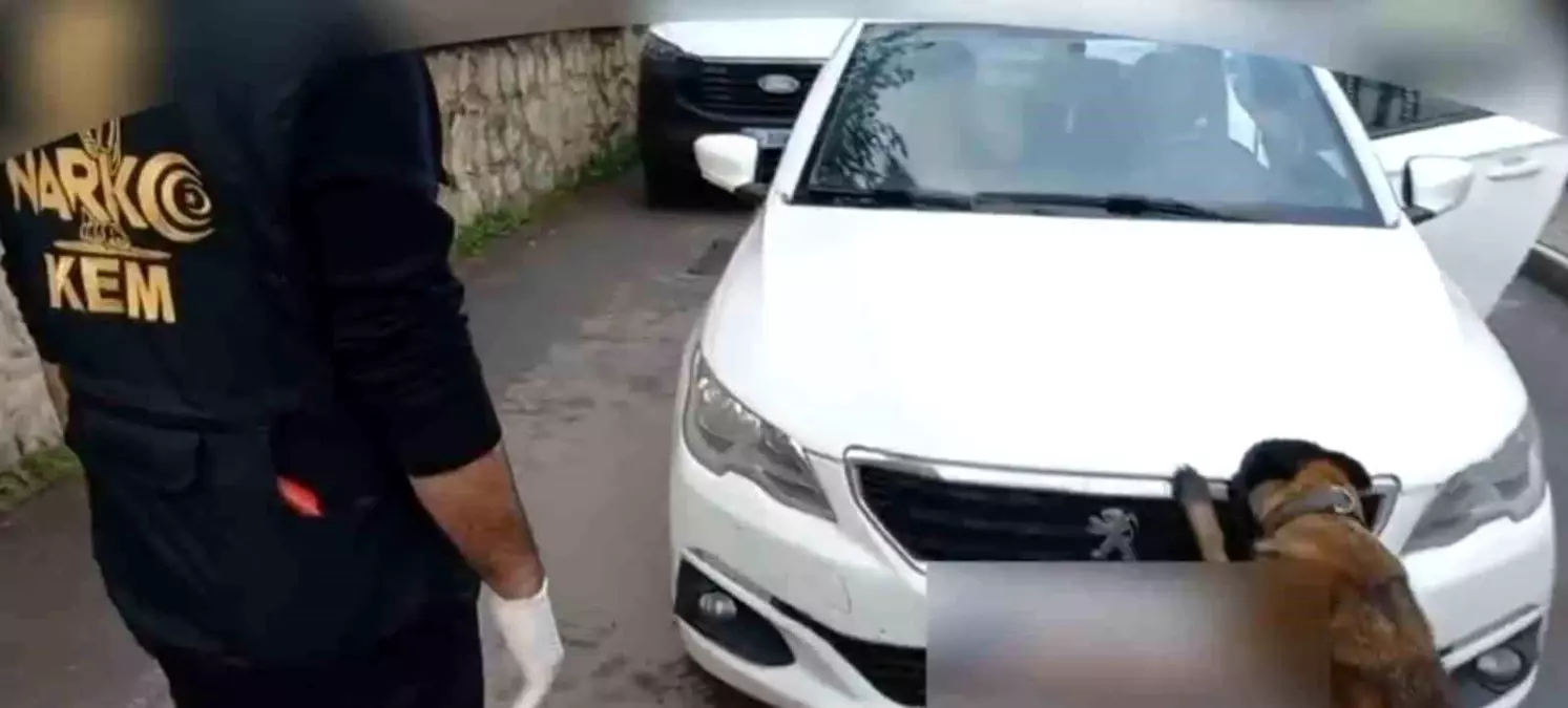 Sakarya’da 92 Kilo Bonzai Hammaddesi Taşıyan Şüpheliler Gözaltına Alındı