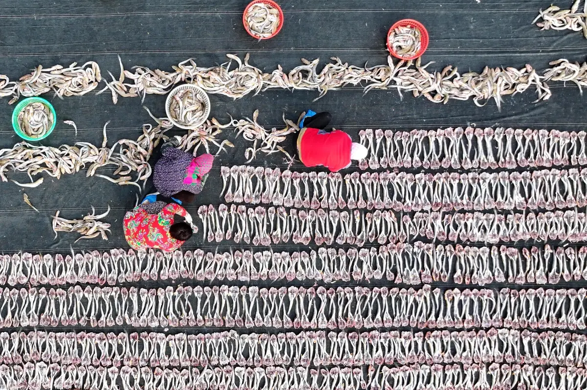 Tangshan’da Balıkçılar Kazanç Sağlıyor