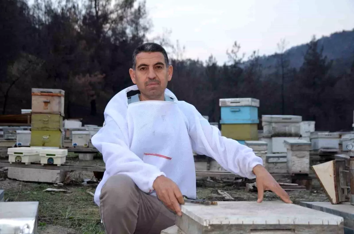 Bilecik’te Hobi Olarak Başladı, Türkiye’ye Ana Arı Gönderiyor