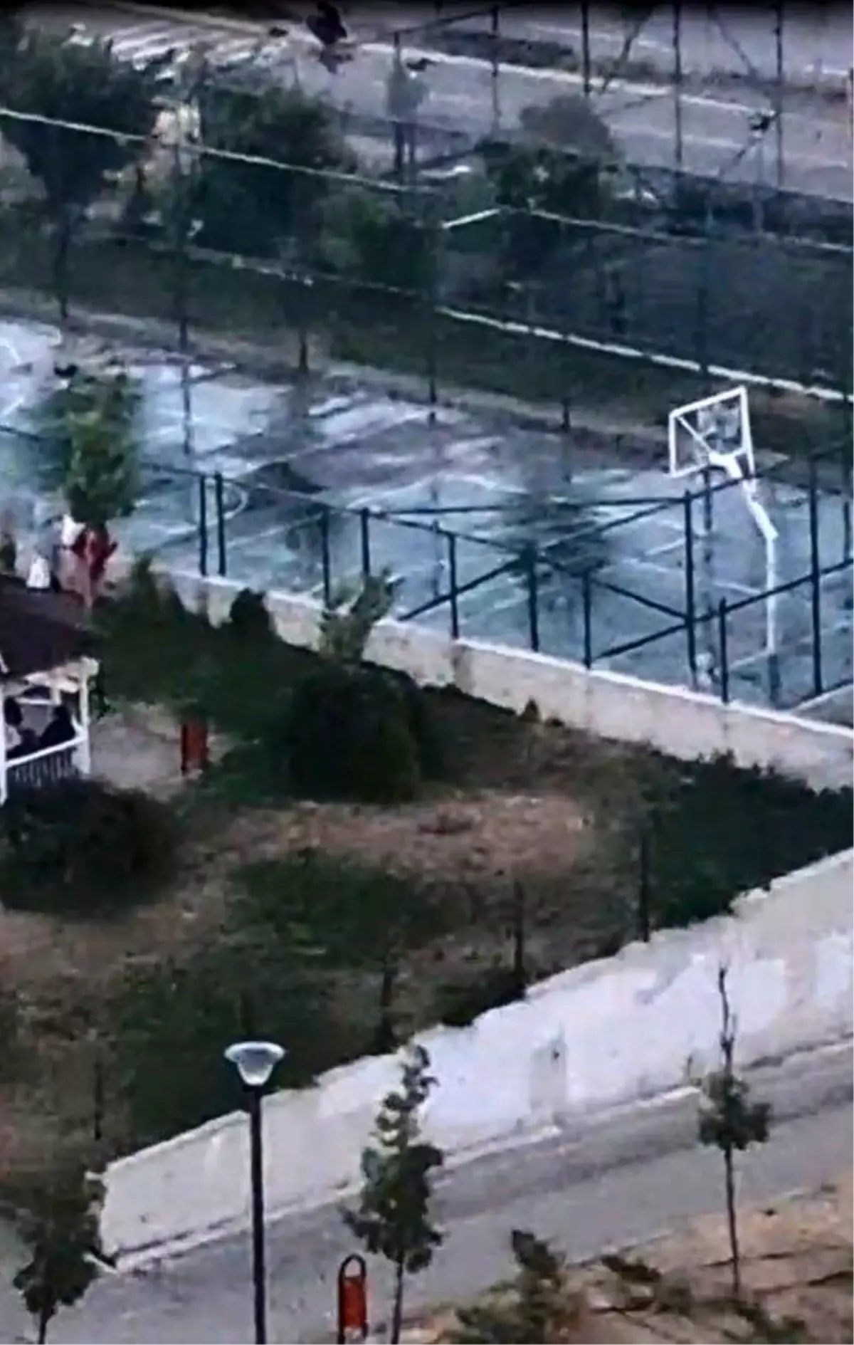 Pitbull Saldırısı: Etimesgut’ta Oyun Alanında İki Kardeş Yaralandı