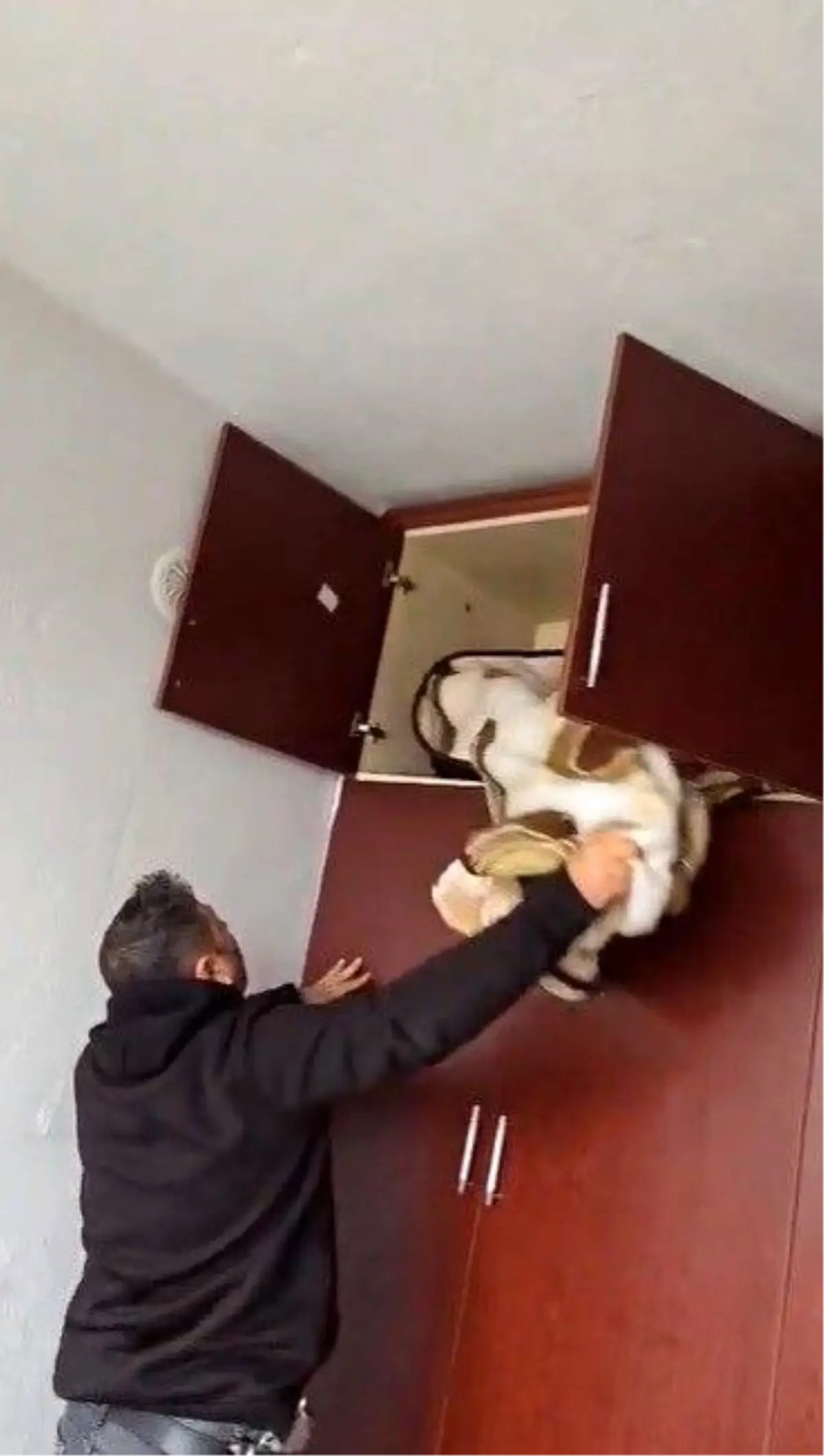 49 farklı suçtan aranan şahsın yakalandığı yer pes dedirtti