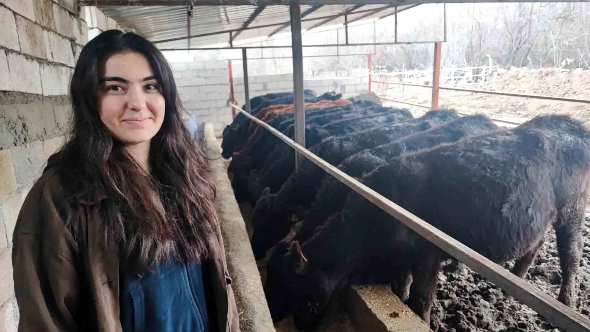 Atama Bekleyen Sağlıkçı Hayvancılığa Yöneldi