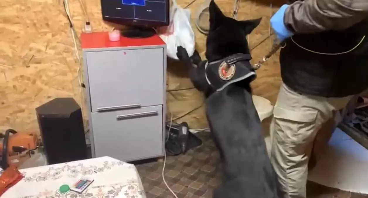 Samsun’da Bağ Evinde Büyük Uyuşturucu Operasyonu