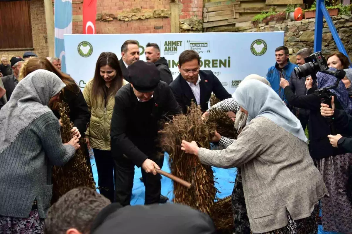 Balıkesir’de Susam Üreticisine Büyük Destek: Alım Fiyatı 155 TL’ye Çıktı